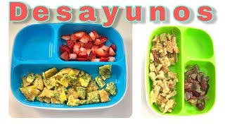 Desayunos fáciles para bebés de 12 meses en adelante  Desayunos con huevo y frutas [upl. by Naryb]