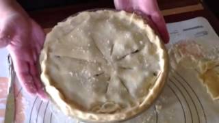 How to Make Bursting Blueberry Pie Filling [upl. by Neleag]