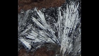 186765518525 PYROLUSITE  Morocco Atlas Mts Imini Mine blackorion666 [upl. by Adriena]