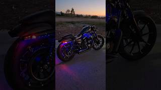 Sportster 883 Custom View harleydavidson [upl. by Arch606]