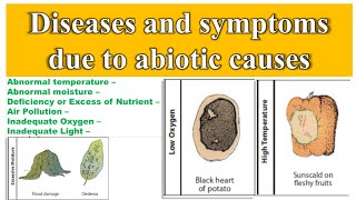 Abiotic Plant Disease  Non infectious Diseases in Plant Pathology [upl. by Suki]