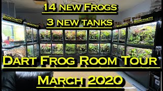 Poison Dart Frog Room Tour March 2020 14 New Frogs 3 New Vivs [upl. by Esya]