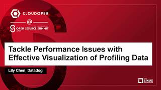 Tackle Performance Issues with Effective Visualization of Profiling Data  Lily Chen Datadog [upl. by Nosmirc]