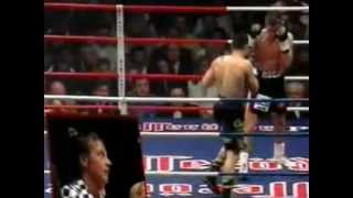 Graciano Rocchigiani vs Dariusz Michalczewski I 13 [upl. by Bois]