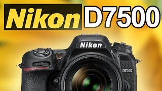 Nikon D7500 vs Nikon D500 D7200 D5600 amp Canon 77D 80D 7D [upl. by Emmeline]