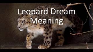 Leopard Dream Meaning [upl. by Spalding898]