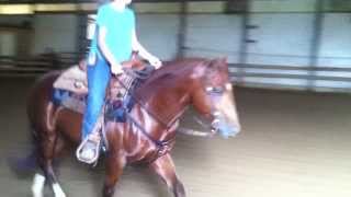 Stacy Westfall and Jacfirst ride in Roxys saddle [upl. by Royden]