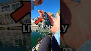 Freshwater Lures in Saltwater fishingvideo fishing [upl. by Enaasiali267]