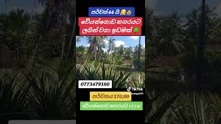 වටින්න ඉඩමක් houseforsalesrilanka home director automobile ganemulla land kiribathgoda korea [upl. by Weiler]