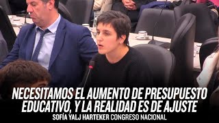 quotNecesitamos el aumento de presupuesto educativo y la realidad es de ajustequot  Sofía Yalj Harteker [upl. by Scoter]