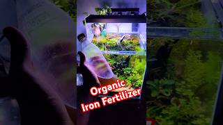 Organic Iron Fertilizer এখনো ব্যবহার করি ☘️👌plant fishaquarium fish ironfertilizer aquaplant [upl. by Minetta]