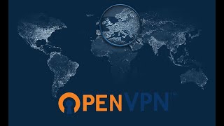 Openvpn sunucusu kurulumu linux sunucunuza vpn kurun [upl. by Nojel]