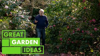 Garden Walkaround  Elegans GARDEN  Great Home Ideas [upl. by Harilda889]