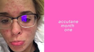 accutane month one  aspenlikeatree [upl. by Nnarefinnej127]