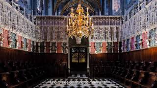 Albi Cathedral France [upl. by Mccarty]