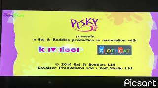 Pesky ProductionsKavaleer ProductionsCloth Cat Animation 2016 [upl. by Lunette]