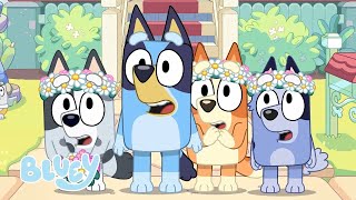 Bluey The Sign Official Trailer 💙 🦋  Bluey [upl. by Balliett292]