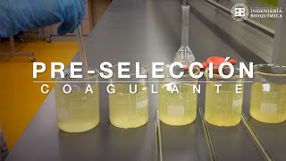 Preselección Coagulante Floculante y Test de Jarra [upl. by Ziagos374]