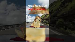 MADRE CON DERECHO EXIGE MI MASCOTA  DOGE abrohilo shorts hilosconcheems cheems [upl. by Raval]