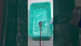 DC Motor Underwater Testing [upl. by Fairley]