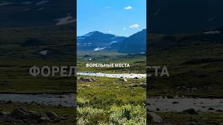 Форельные места • Trout spots📍Kungsleden 450 km 🥾 Sweden 🇸🇪 [upl. by Bertrand]