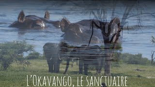 s01ep04UN VAN 🤩 AU PAYS DES HIPPOPOTAMES [upl. by Arek209]