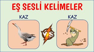 Eş sesli kelimeler  Sesteş Kelimeler [upl. by Modie610]