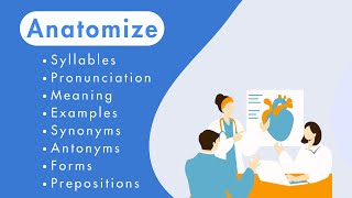 quotAnatomizequot UrduHindi Meaning with Examples Pronunciation SynonymsAntonyms Forms Prepositions [upl. by Aicital1]