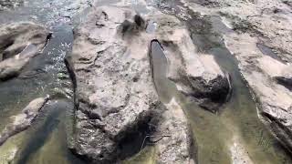 McKinney Falls State Park in Austin Texas [upl. by Aseen]