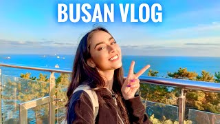 BUSAN VLOG  South Korea Trip 🇰🇷  Sakshma Srivastav [upl. by Naiditch]