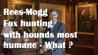 Rees Mogg quotFOff I won and well bring back fox hunting with hounds cause its most humane [upl. by Kassi]