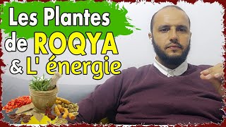 🟢 Les Traitement de mal occulte Roqya Zouhri type des plantes nettoyage énergétique wwwRoqyashop [upl. by Aurel327]