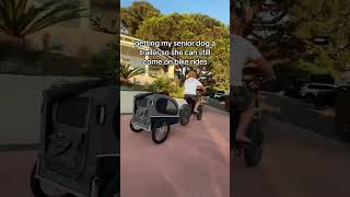 Dog Trailer for my Elderly Dog to come on bike rides dog doglover seniordog senior dog [upl. by Tomasine]