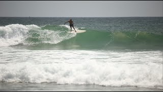 Sri Lanka  Midigama Surf  Jan 7  Plantations [upl. by Alletniuq]