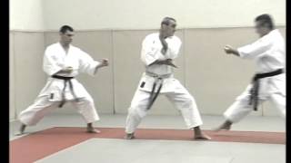 Bunkaï Heian Nidan [upl. by Artima]