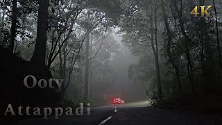 Ooty  avalanche  attappadi  kinnakorai ooty attappadi travel forest [upl. by Akyeluz]