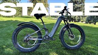 SUPER STABLE PuckiPuppy Boxer ST EBike Full Review [upl. by Brewer]