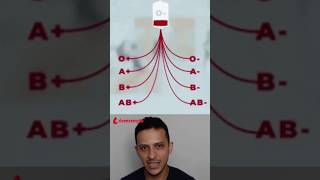 Tudo o que você precisa saber sobre os tipos de sangue Compatibilidade doação e importância [upl. by Corwun]
