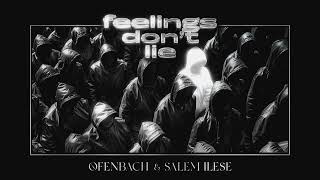 Ofenbach amp salem ilese  feelings dont lie Official Audio [upl. by Aelat]