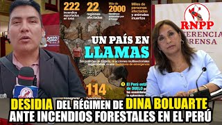 DESIDIA E INDOLENCIA DE DINA BOLUARTE ANTE INCENDIOS FORESTALES EN EL PERÚ [upl. by Fulbright]