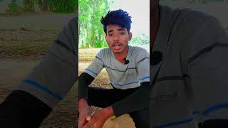 Ladai ki jad ye hoti hai  funny shortvideos comedy viralvideos funnyreel carttoon [upl. by Akim]