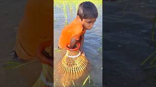 Traditional Polo Trap Fishing in Beel water polotrapfishing catchingfish fishing shorts [upl. by Esyak484]