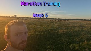 Sub3 Marathon Training Week 5  Dublin Marathon amp Florence Marathon [upl. by Tatiania]