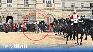 Another spooked Household Cavalry horse throws rider during military parade in London [upl. by Ardnasela959]