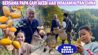 ALHAMDULILLAH DAPAT REZEKI LAGI LANJUT CARI AKEBI LIAR DIHUTAN DESA MAKAN SAMPAI PUAS [upl. by Patman]