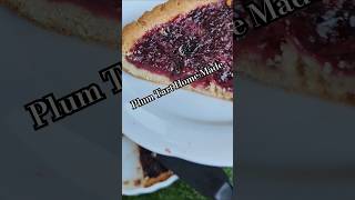 Plum 🍑 Tart Home Made [upl. by Alexia616]