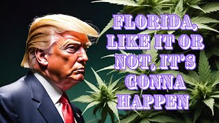 Trump signals support for Florida marijuana legalization [upl. by Morgen]