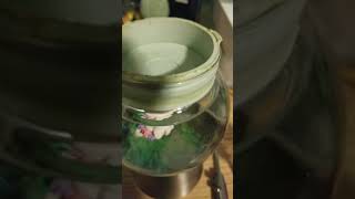 DIY change dirty murky water out of a snow globe [upl. by Kiernan886]