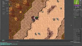 Xenobot Tutorial Scripts Undead Dragons Task script full afk Hexera Tibia game [upl. by Enywad510]