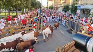 Primer encierro Fiesta de Tudela 2024 [upl. by Einnahc320]